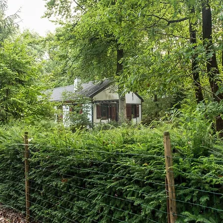 Charming Base In The Ardennes For 8