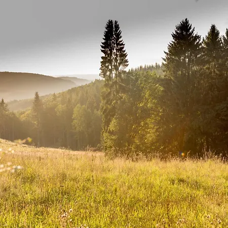 Charming Base In The Ardennes For 8 Holiday home Dochamps