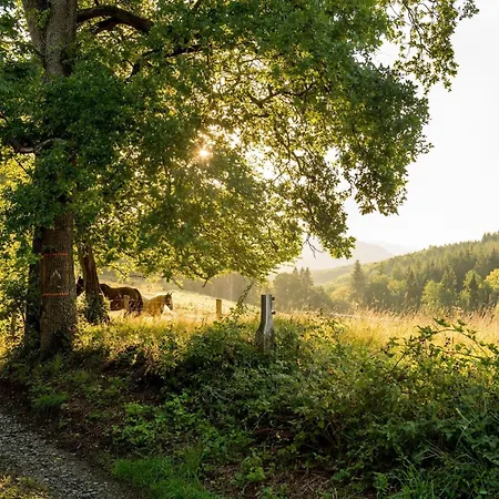 Holiday home Charming Base In The Ardennes For 8 *